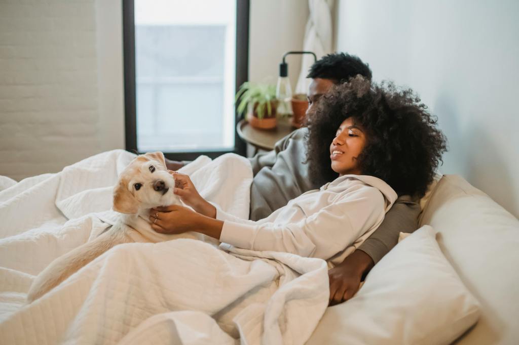 Sleeping with Dogs: Pros and Cons&nbsp;Explained